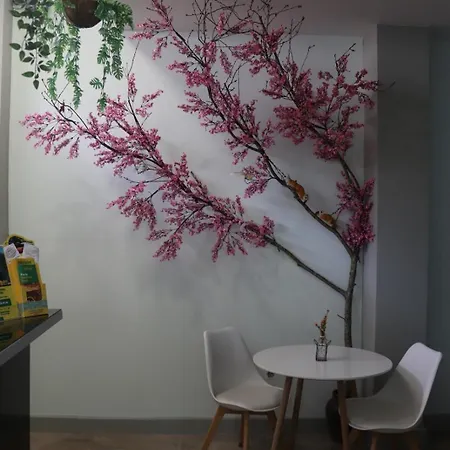 Bed and breakfast Mirandesa Garden Oporto