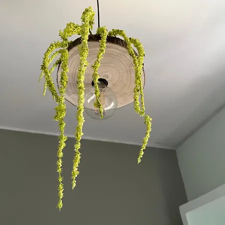 Bed & Breakfast Mirandesa Garden