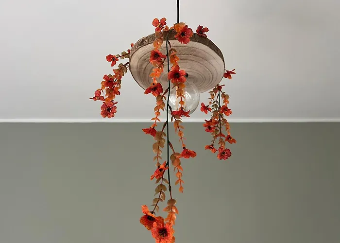 Mirandesa Garden Couette-café