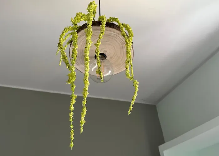 Bed & Breakfast Mirandesa Garden